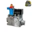 شیر گاز سیگما SIGMA 845